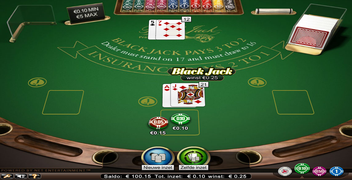 Blackjack Professional for iphone instal